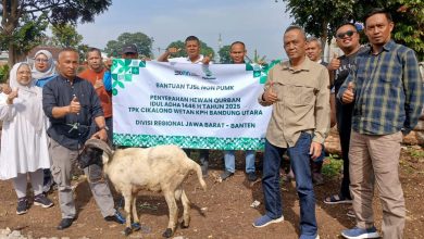 Perum Perhutani KPH Bandung Utara Serahkan 8 Ekor Hewan Kurban Bagi Para Pekerja Hutan
