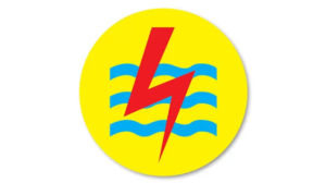 Logo PLN.