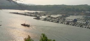 Tangkapan foto Waduk Cirata. (Sumber: Wiki)