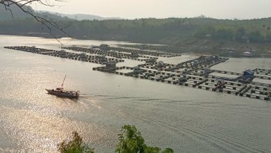 Tangkapan foto Waduk Cirata. (Sumber: Wiki)