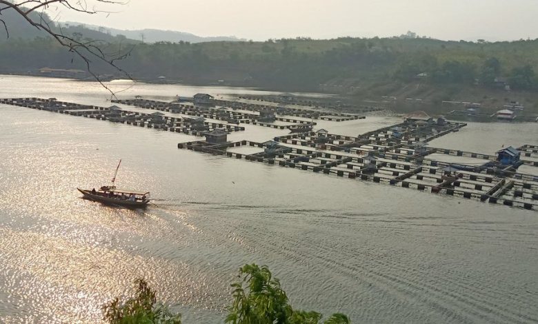 Tangkapan foto Waduk Cirata. (Sumber: Wiki)