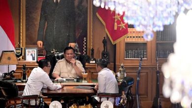 Tangkapan foto Presiden Prabowo Subianto. (Sumber: Dok, Ssekretariat Kabinet)