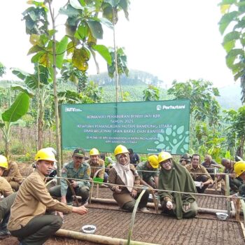 Perhutani Laksanakan Komando Tabur Benih Serentak Jati Asal KBK Di Bandung