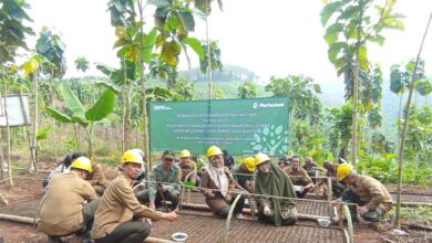 Perhutani Laksanakan Komando Tabur Benih Serentak Jati Asal KBK Di Bandung