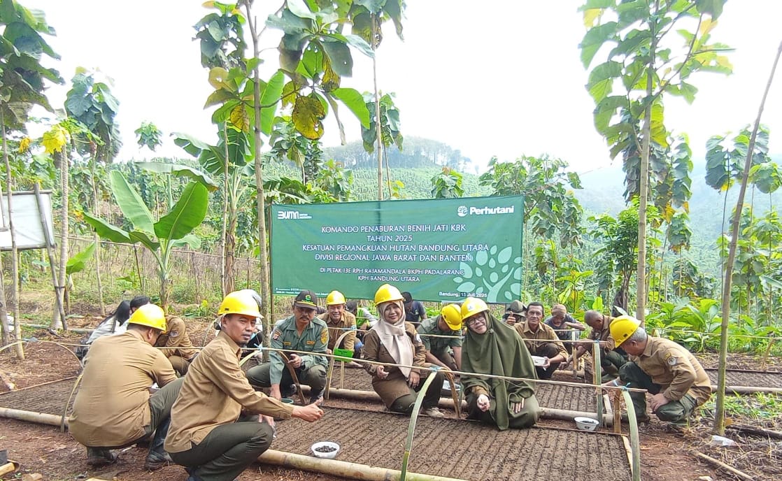 Perhutani Laksanakan Komando Tabur Benih Serentak Jati Asal KBK Di Bandung
