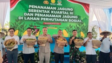 Polda Jabar gelar Penanaman Jagung Serentak Kuartal III di Sumedang, Rabu, 9/07/2025.