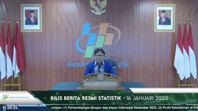 Tangkapan foto BPS. (Dok. BPS)