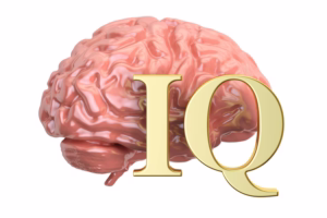 Tangkapan foto IQ. (Sumber: Freepik)