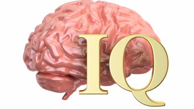 Tangkapan foto IQ. (Sumber: Freepik)