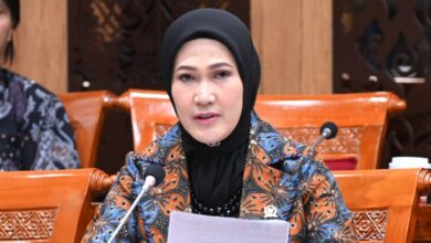 Tangkapan foto Anggota Komisi X DPR Fraksi Nasdem, Lita Machfud Arifin. (Sumber: Dok. NasDem)