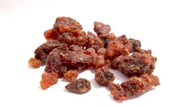 Tangkapan foto Kemenyan. (Sumber: Pixabay)