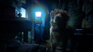 Good Boy: Jadwal Tayang, Pemeran, Sinopsis, dan Tempat Menonton Film Horor Supranatural Ini 3