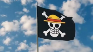 Menko Polhukam Minta Warga Tak Provokasi dengan Bendera One Piece Jelang HUT RI 5