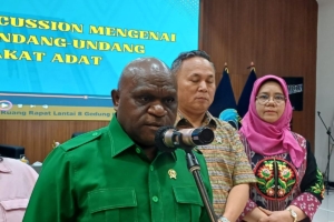 Pengibaran Bendera One Piece di Hari Kemerdekaan, Pigai : Dilarang Bila Tujuan Makar 8