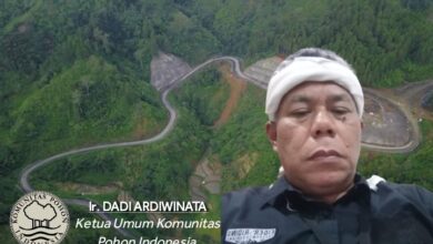 Komunitas Pohon Indonesia