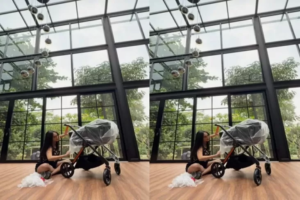 Erika Carlina Pamer Stroller Mewah Seharga Rp87 Juta untuk Anak Pertama 4