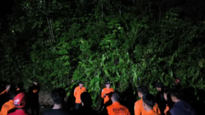 Helikopter Jatuh di Hutan Kalsel: Black Box Diserahkan ke KNKT, Seluruh Korban Dievakuasi 8