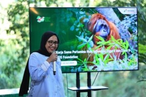 BGN Bentuk Tim Investigasi Tangani Kasus Keracunan Makanan Bergizi Gratis 1