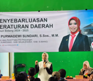DPRD Jabar Ineu Purwadewi Sundari Dorong Pertumbuhan Wirausahawan yang Kreatif, Inovatif, dan Berdaya Saing 10