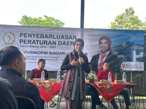 Dorong Optimalisasi Peran Perempuan dalam Pembangunan Daerah, Ineu Purwadewi Sebut Perlu Dukungan Memadai 6