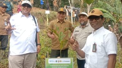 Kepala BPDAS Cimanuk Citanduy, Umar Nasir didampingi Kasi RHL, Doni Adiningrat, saat melaksanakan penanaman pohon di Gunung Manglayang, Selasa, 21/10/2025.