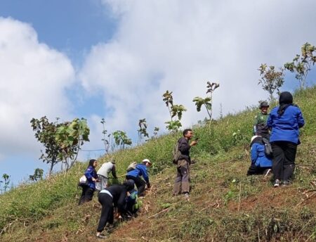 Mahasiswa Universitas Bale Bandung saat melaksanakan penanam pohon di Kawasan Desa Citaman, Nagreg, Kamis 27/06/2024.