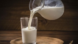 Susu Kambing, Pilihan Sehat Penuh Nutrisi dan Manfaat 4