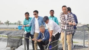 Raffi Ahmad, Ariel Noah, Gading Marten, dan Desta Kunjungi Tambak Nila Modern di Karawang, Dukung Ekonomi Biru 9