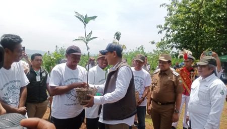 Wamenhut Rohmat Marzuki serahkan bibit produktif kepada Kelompok tani Hutan, Selasa, 25/11/2025.