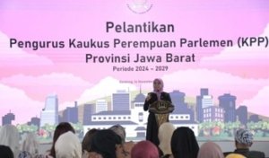 Ineu Purwadewi Sundari: Representasi Perempuan di Politik Harus Terus Ditingkatkan 3