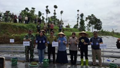 Ngatiyana didampingi Muspida Kota Cimahi buka Kick Off Gerakan Tanam Pangan Cabai di Kelurahan Cipageran.