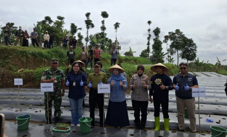 Ngatiyana didampingi Muspida Kota Cimahi buka Kick Off Gerakan Tanam Pangan Cabai di Kelurahan Cipageran.