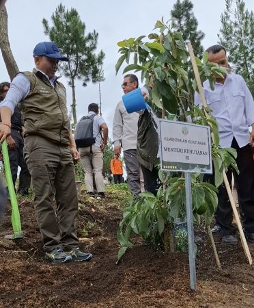 Menteri Kehutanan Raja Juli Antoni usai menanam bibit pohon alpuklet.
