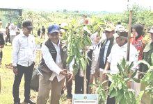 Wamenhut Rohmat Marzuki saat menanam pohon di Desa Kebon Cau, Kecamatan Ujungjaya, Kabupaten Sumedang, Selasa 25/11/2025.