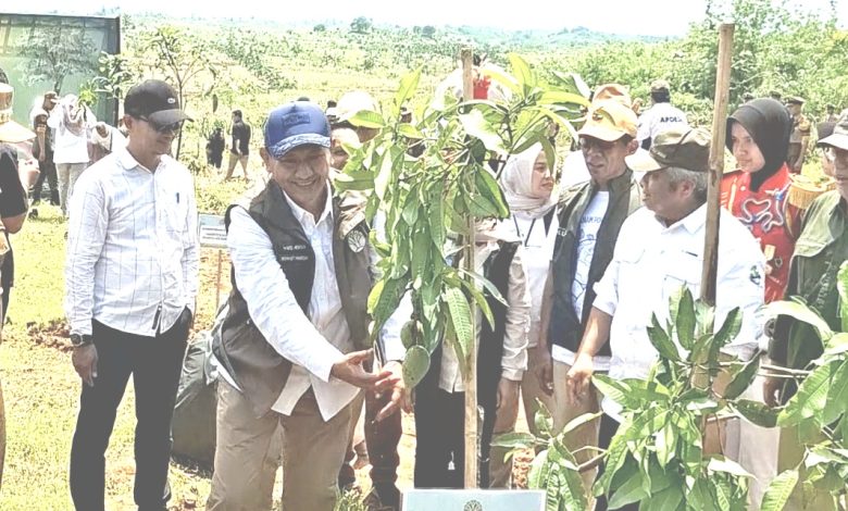 Wamenhut Rohmat Marzuki saat menanam pohon di Desa Kebon Cau, Kecamatan Ujungjaya, Kabupaten Sumedang, Selasa 25/11/2025.
