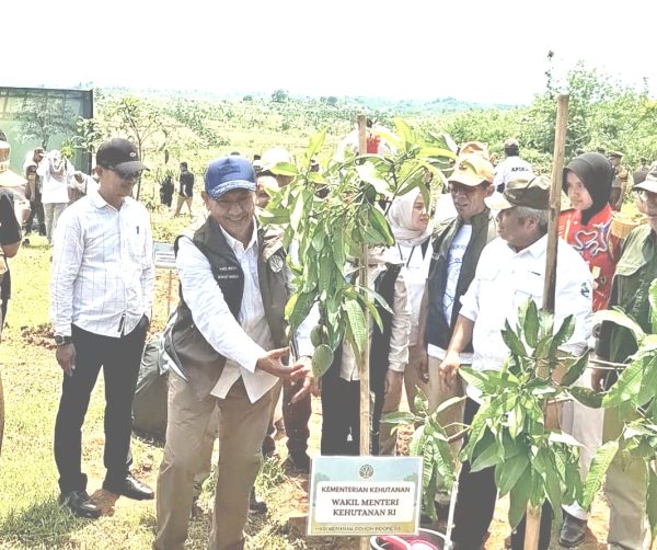 Wamenhut Rohmat Marzuki saat menanam pohon di Desa Kebon Cau, Kecamatan Ujungjaya, Kabupaten Sumedang, Selasa 25/11/2025.