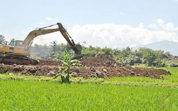 Ilustrasi alih fungsi lahan pertanian.