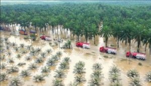 BNPB Perkirakan Nilai Kerusakan Bencana di Sumatra Tembus Rp51,82 Triliun 5