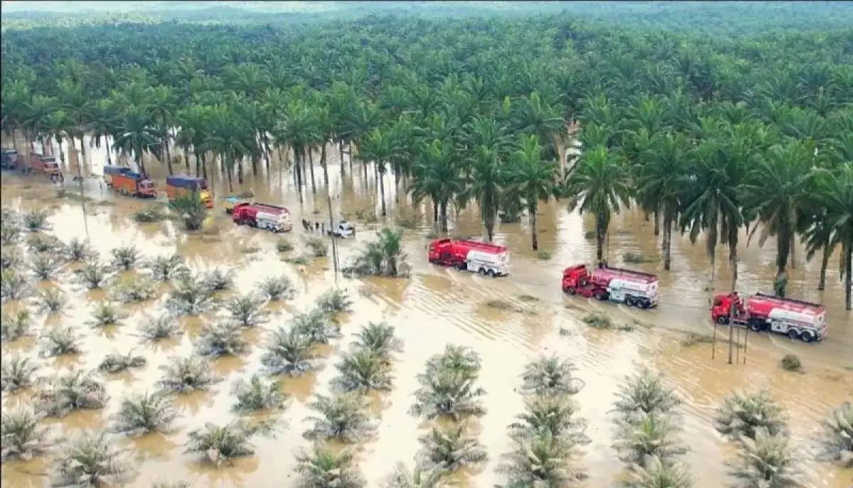 BNPB Perkirakan Nilai Kerusakan Bencana di Sumatra Tembus Rp51,82 Triliun