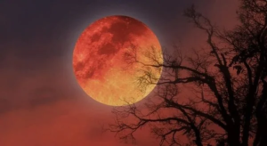 Gerhana Bulan Total 3 Maret 2026! Intip Jadwal Lengkap dan Waktu Puncaknya di Indonesia