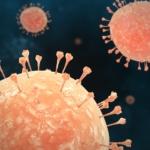 Cegah Virus Nipah, Kemenkes Larang Konsumsi Makanan Ini!