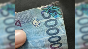 Video Viral Robek Uang Rupiah, Kena Denda 1 Miliar? (istimewa)