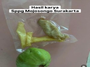 Menu MBG Fish and Chips Tidak Layak di Mojosongo Solo (foto/@surakartahits_).