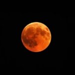Link Streaming Gerhana Bulan Blood Moon Hari Ini, Fenomena Langka? (freepik)