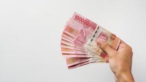 Asik! THR PPPK Paruh Waktu di Bandung Dipastikan Cair, Ini Jadwal Pencairannya (freepik)