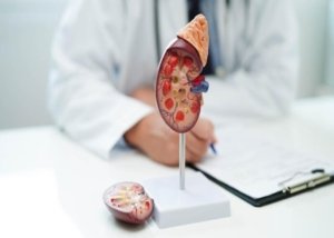 Ilustrasi. Dokter Ungkap Gejala Gagal Ginjal yang Terlihat dari Wajah (foto/Getty Images/manassanant pamai).