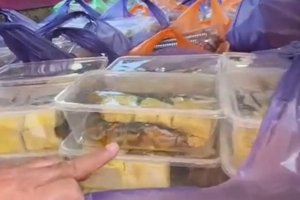 Viral Video Lele Mentah di Menu MBG, BGN Beri Penjelasan Lengkap Soal Menu Sebenarnya 2