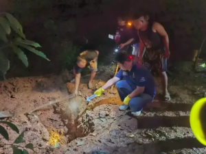 Ahmad Fahrozi Pelaku Mutilasi Ibu Kandung di Lahat