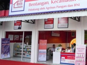 Syarat daftar manajer Kopdes
