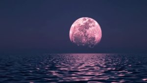 Fenomena Pink Moon Muncul Malam Ini, Bisa Dilihat Langsung Tanpa Alat! (freepik)